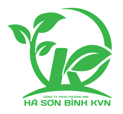 Công ty TNHH Thương mại Hà Sơn Bình KVN